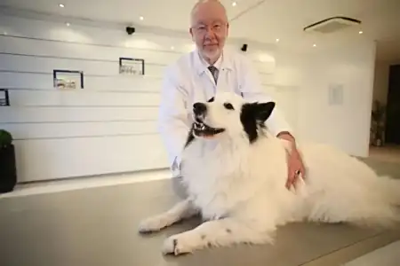 深圳博根拿股權再生變，出身德國的這”